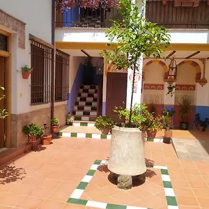 https://apartamento-patio-de-san-lorenzo-vft-co-00990.es-andalucia.com